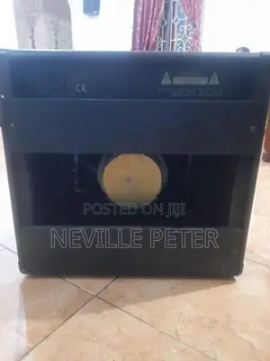 Lead Gutter Amplifier