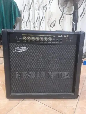 Lead Gutter Amplifier