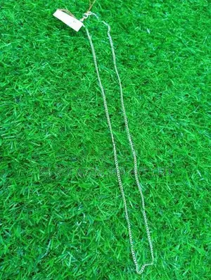 Silver Chain