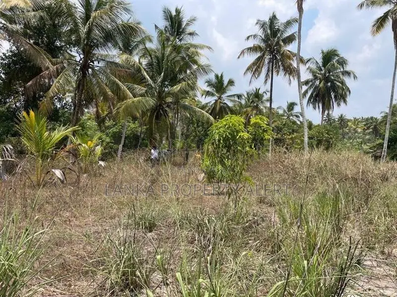 Land Block for Sale Divulapitiya