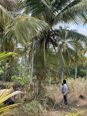 Land Block for Sale Divulapitiya