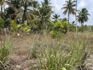 Land Block for Sale Divulapitiya