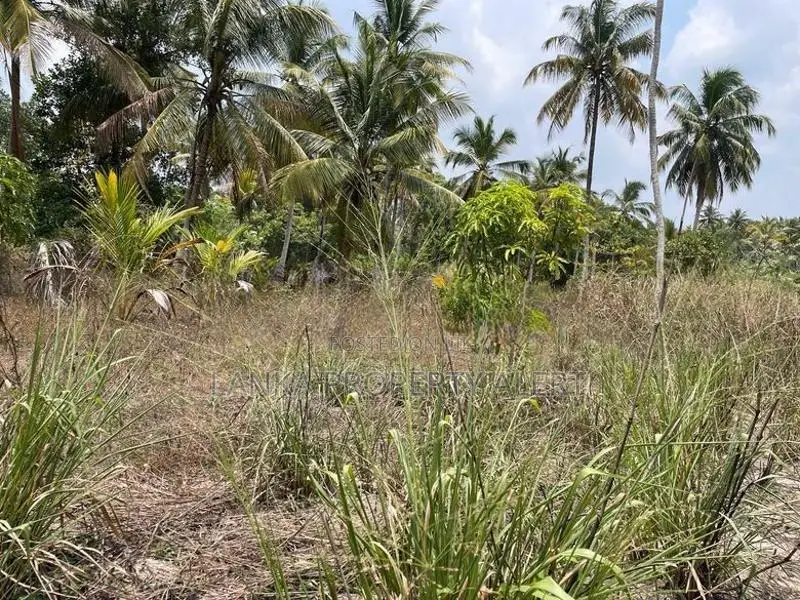 Land Block for Sale Divulapitiya
