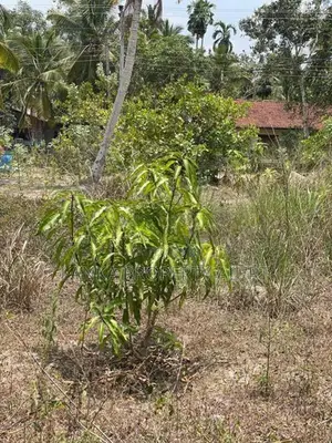 Land Block for Sale Divulapitiya