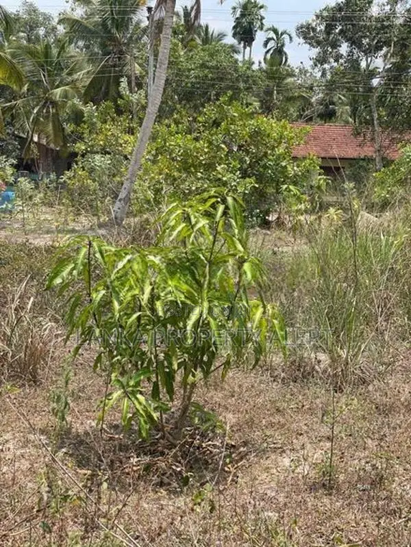 Land Block for Sale Divulapitiya