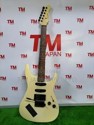 Fernandes FR series electric Guitar 03