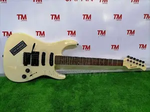 Fernandes FR series electric Guitar 03