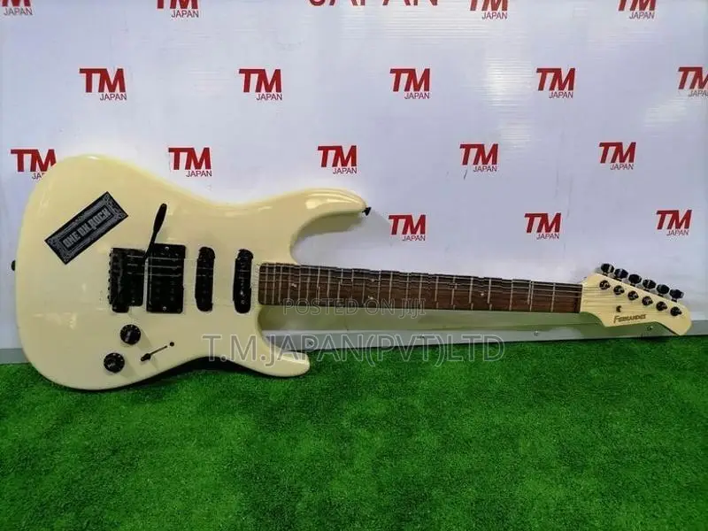 Fernandes FR series electric Guitar 03