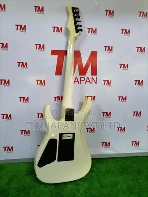 Fernandes FR series electric Guitar 03