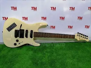 Fernandes FR series electric Guitar 03