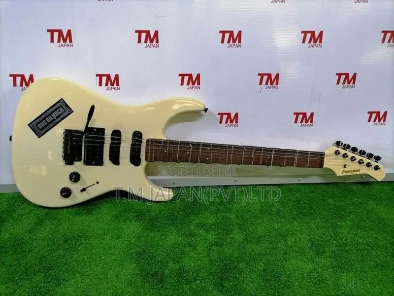 Fernandes FR series electric Guitar 03
