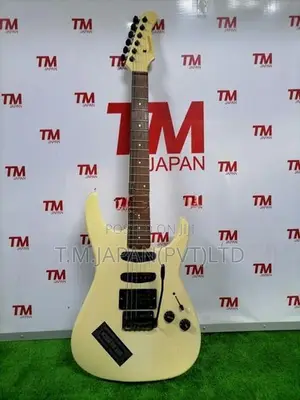 Fernandes FR series electric Guitar 03