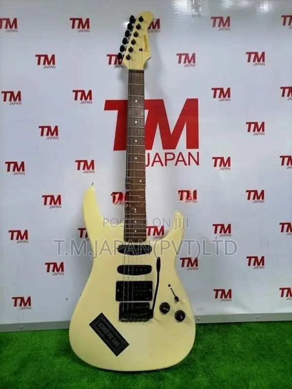 Fernandes FR series electric Guitar 03