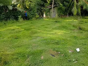 Land For Sale in Meepe