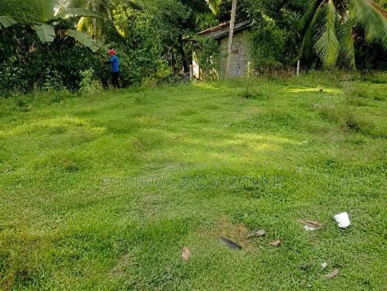 Land For Sale in Meepe