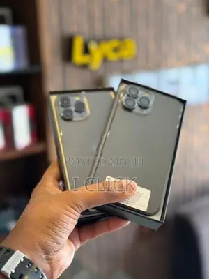 Apple iPhone 13 Pro Max 256GB (Used)