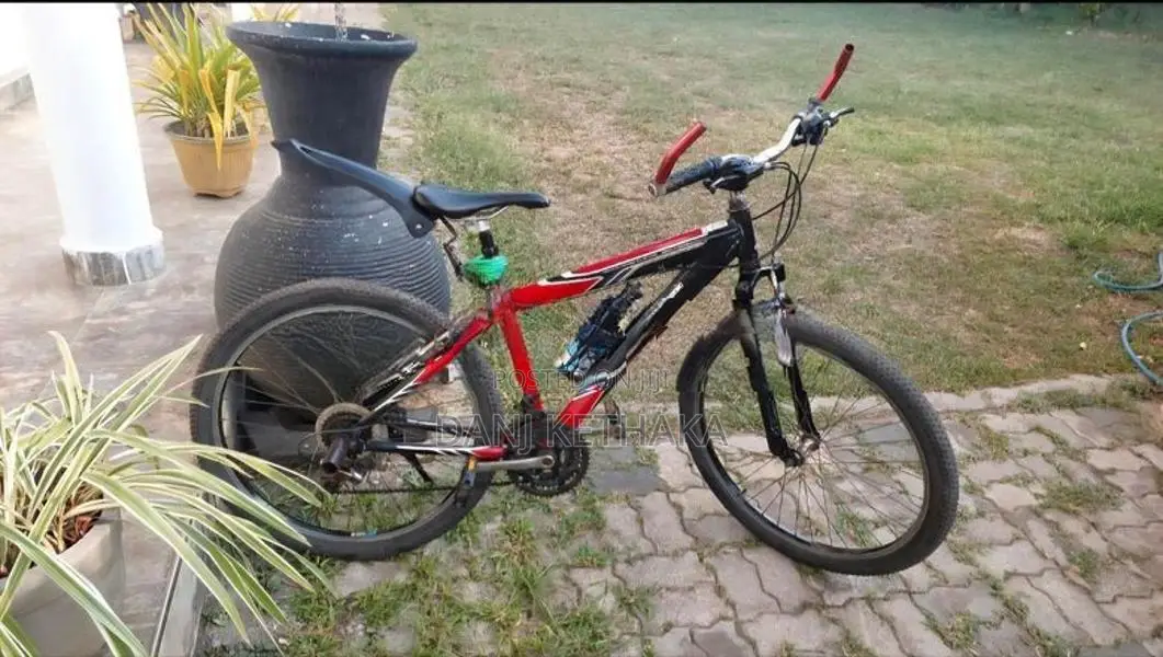Japan Panasonic Orginal Bicycle