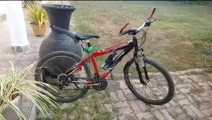 Japan Panasonic Orginal Bicycle