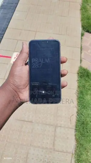 Apple iPhone 11 (Used)
