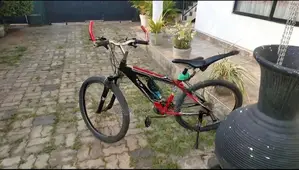 Japan Panasonic Orginal Bicycle