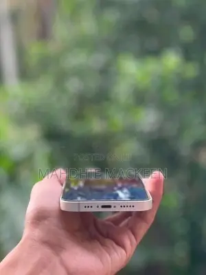 Apple iPhone 13 (Used)