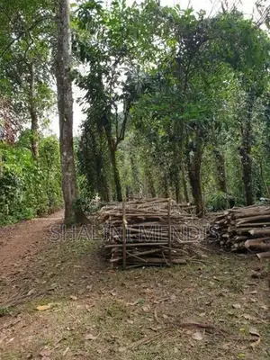 ඉඩමක් විකිණීමට මාවෙලගම