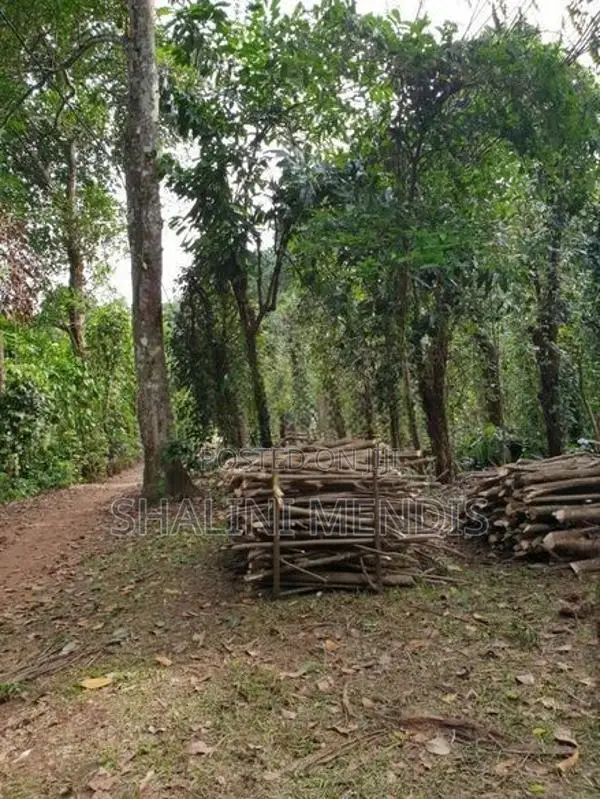ඉඩමක් විකිණීමට මාවෙලගම
