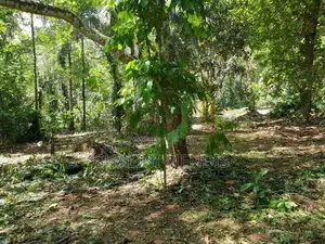 ඉඩමක් විකිණීමට මාවෙලගම