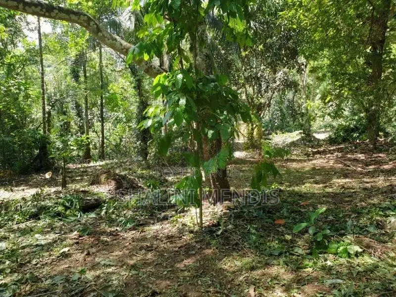 ඉඩමක් විකිණීමට මාවෙලගම