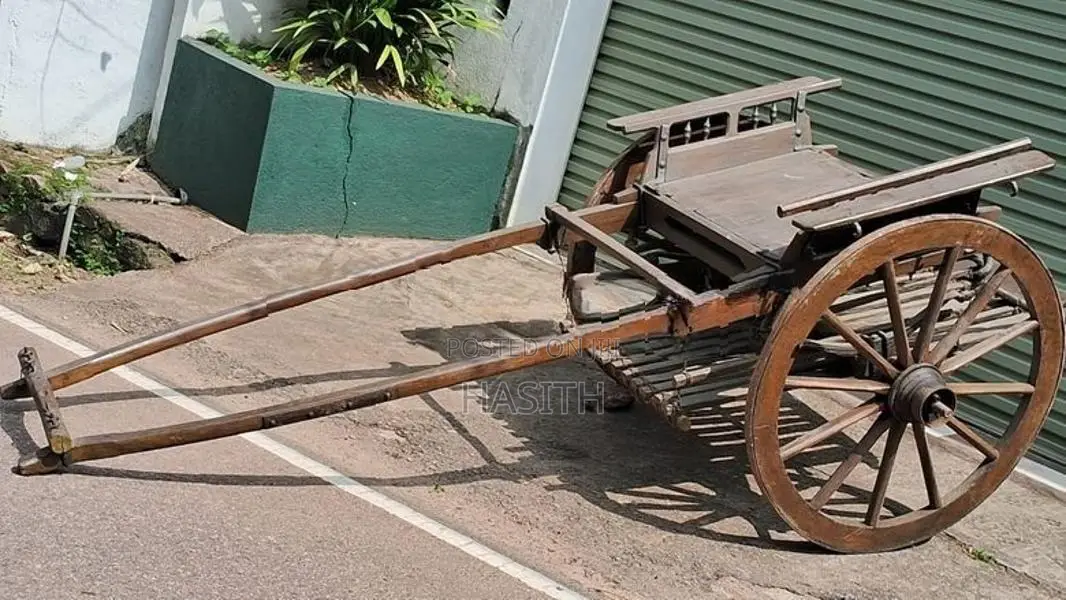 Racing Cart