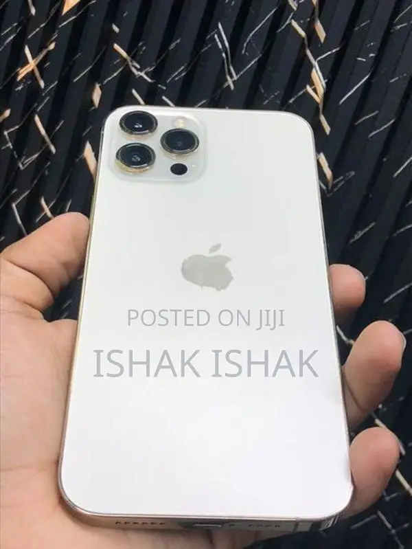 Apple iPhone 12 Pro Max (Used)