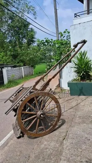 Racing Cart