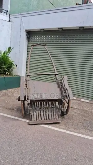 Racing Cart