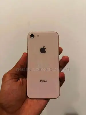 Apple iPhone 8 (Used)