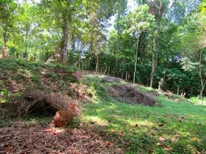 විකිනීමට ඉඩමක් බන්ඩරපොල,සුදුගග පාලම අසල