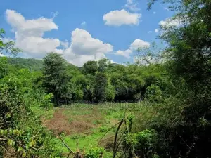 විකිනීමට ඉඩමක් බන්ඩරපොල,සුදුගග පාලම අසල