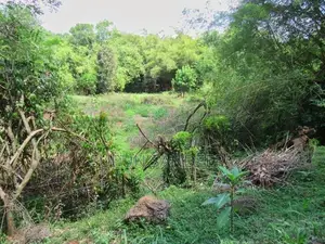 විකිනීමට ඉඩමක් බන්ඩරපොල,සුදුගග පාලම අසල