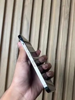Apple iPhone 13 Pro (Used)