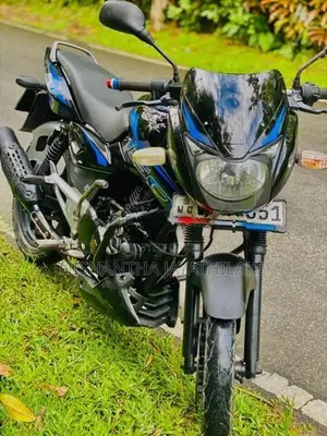 Bajaj Pulsar 150 2010