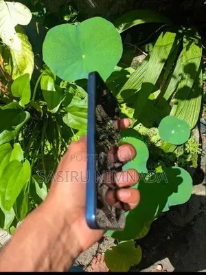 Samsung Galaxy A05 128GB (Used)