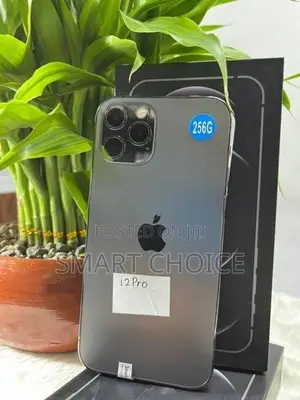 Apple iPhone 12 Pro 128GB (Used)