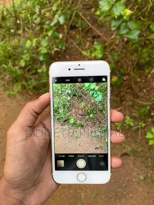 Apple iPhone 7 (Used)