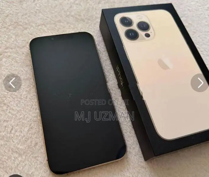 Apple iPhone 13 Pro 256GB (Used)