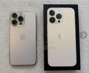 Apple iPhone 13 Pro 256GB (Used)