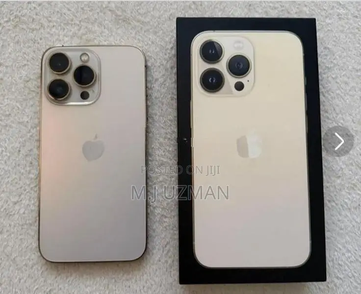 Apple iPhone 13 Pro 256GB (Used)