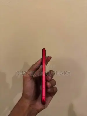 Apple iPhone 11 (Used)