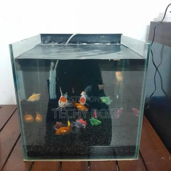 Cube Fish Tank Full set