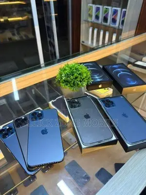 Apple iPhone 12 Pro Max (Used)