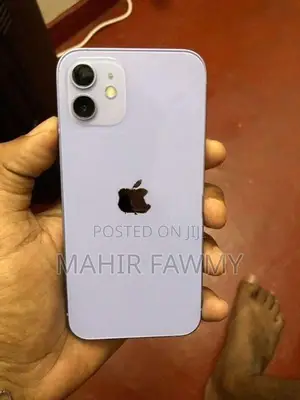Apple iPhone 12 (Used)