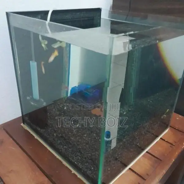 Cube Fish Tank Full set